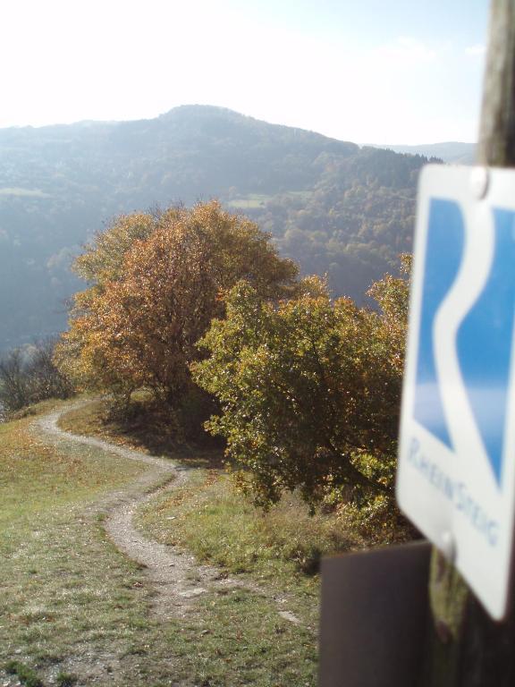 Apartmán Weingut Theodor Nies Lorch am Rhein Exteriér fotografie