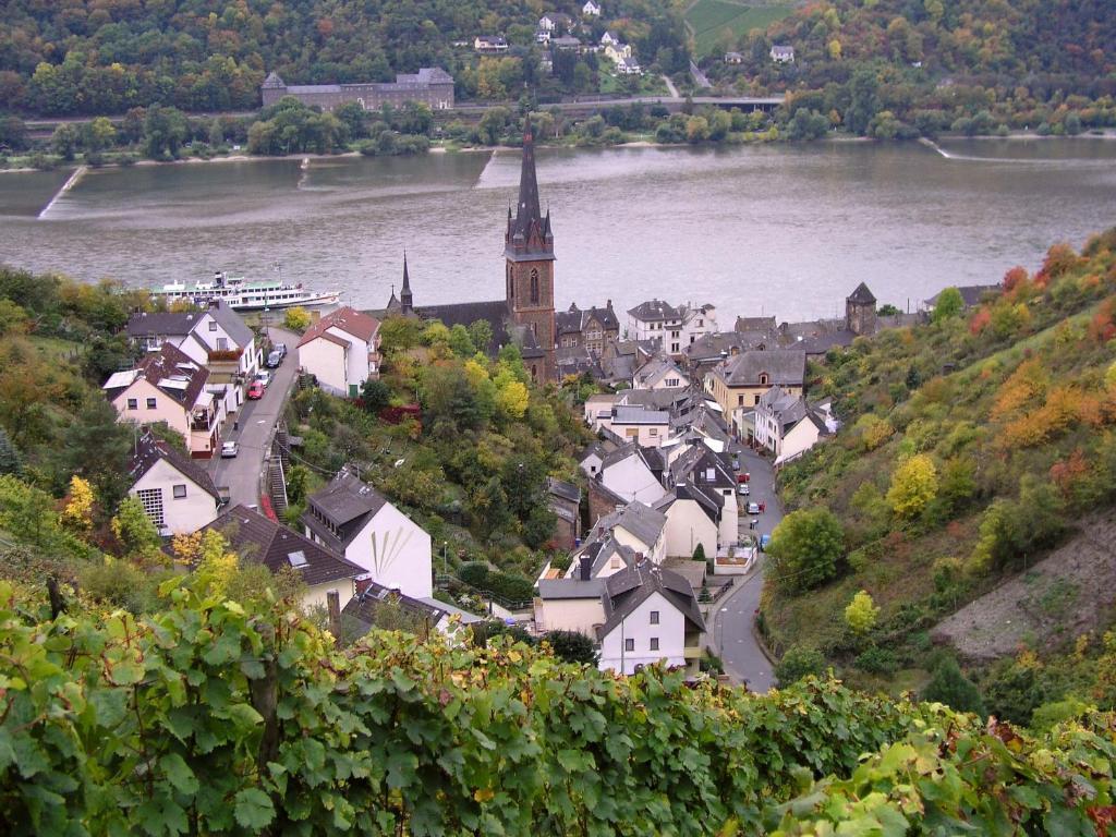 Apartmán Weingut Theodor Nies Lorch am Rhein Exteriér fotografie
